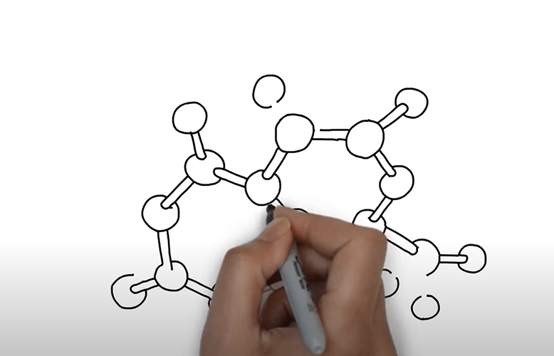 The journey of a Clinical Trial